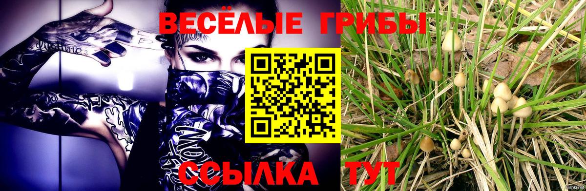 Звенигород  Галлюциногенные грибы MAGIC MUSHROOMS  Вход с VPN  Галлюциногенные грибы Magic Shrooms 