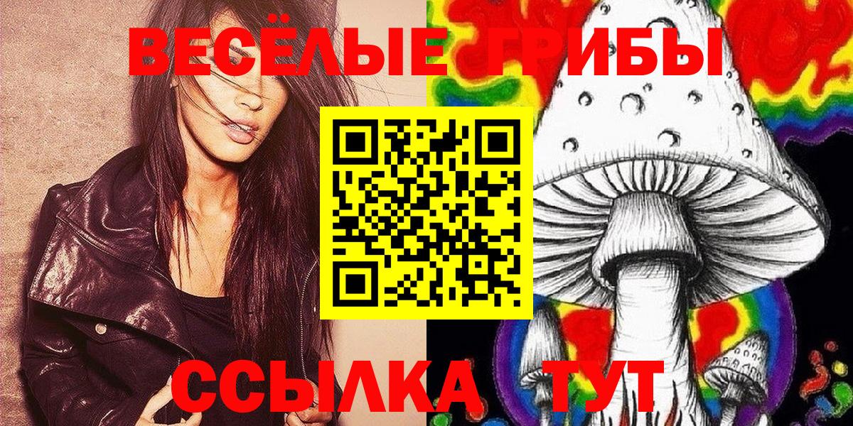 Псилоцибиновые грибы MAGIC MUSHROOMS Звенигород